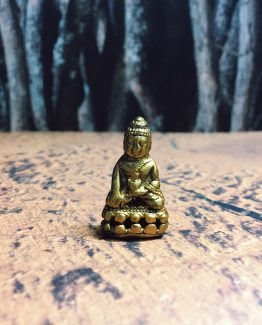 miniaturegoldbuddha